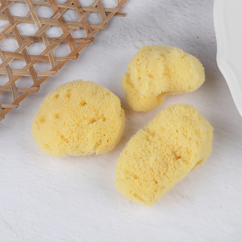 Special Texture Production Cle - огляд і ціна Eco Sponge