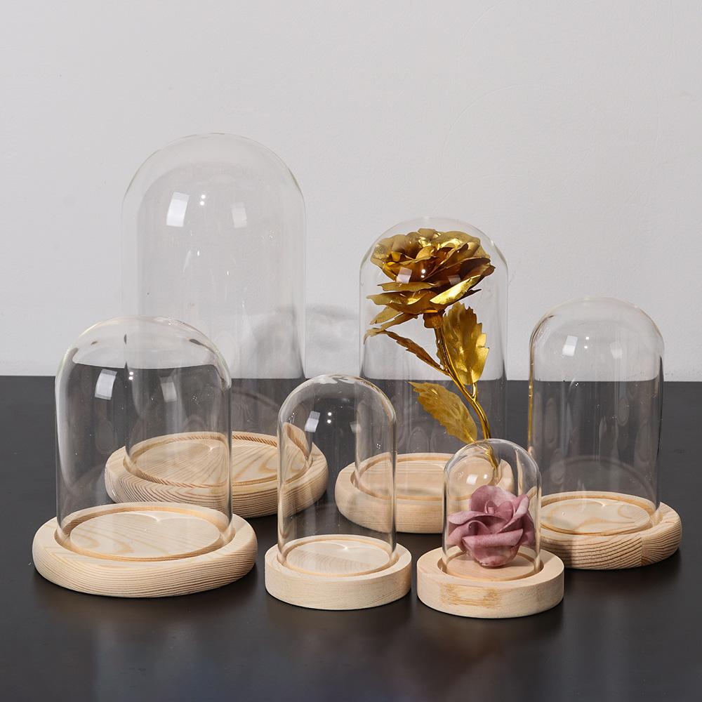 Terrarium Tabletop Fairy Light - огляд і ціна Reusable Bottle